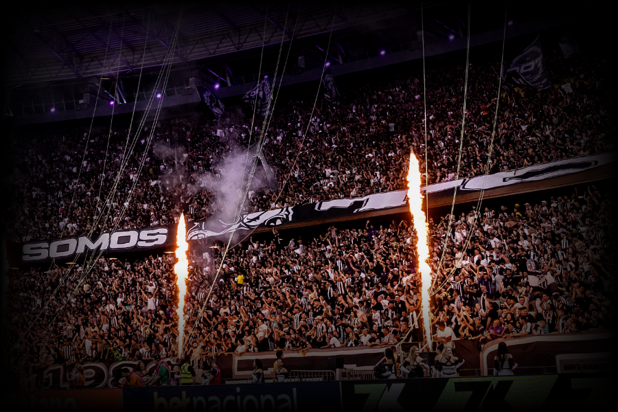 TORCIDA DO VOZÃO TORCIDA DO VOZÃO